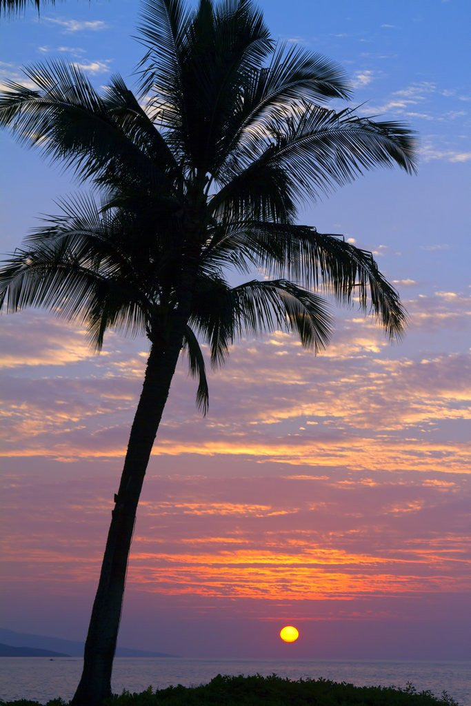 Detail of Sunset in paradise, Makena, Maui, Hawaii by Anonymous