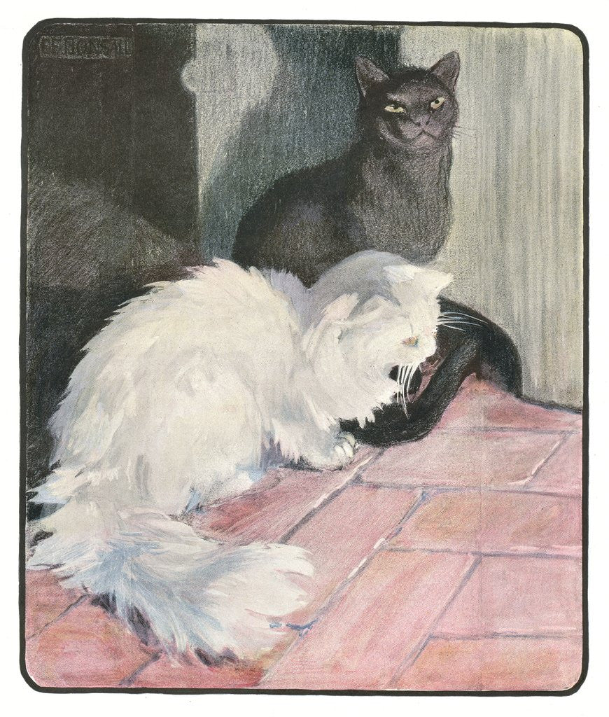 Detail of A White and Black Cat Sitting on a City Stoop by Anonymous