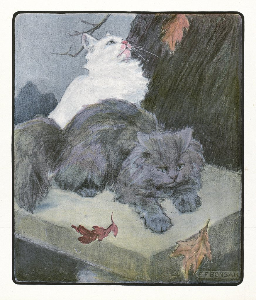 Detail of A White and Gray Persian Cat on a Park Bench in the Fall by Anonymous