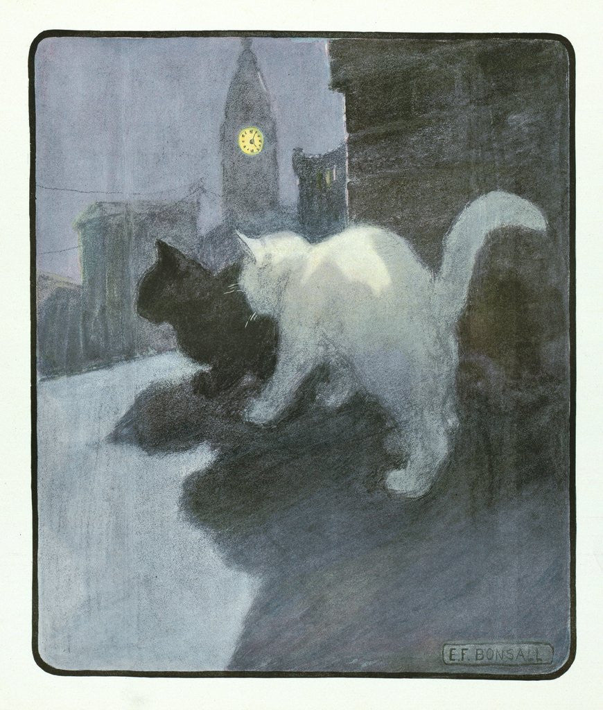 Detail of A White and Black Cat Sitting on a City Rooftop by Anonymous