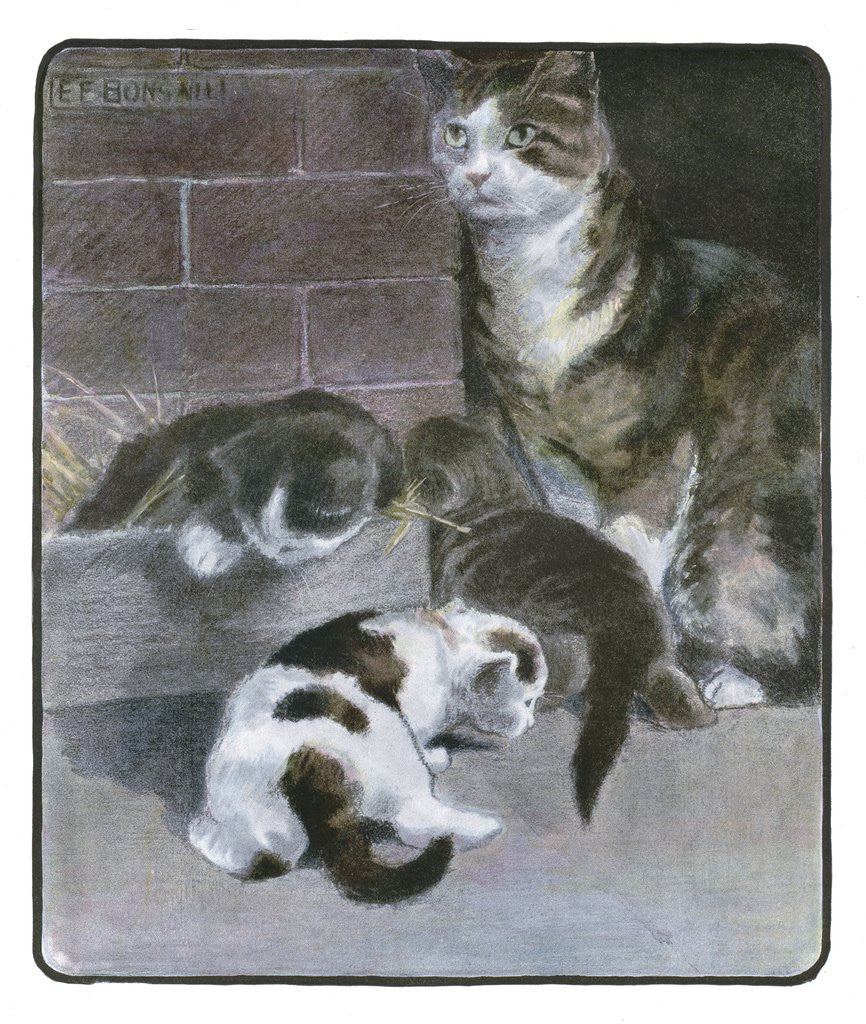 Detail of Domestic Cat with Three Kittens by Anonymous