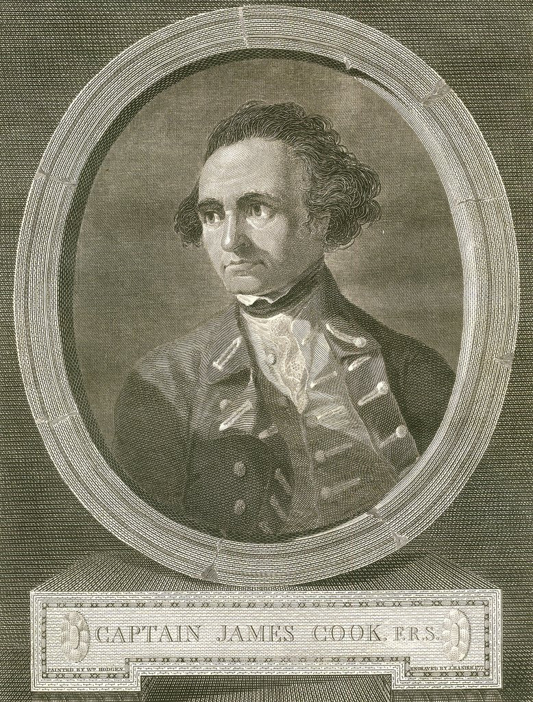 Detail of Portrait of Captain James Cook by Anonymous