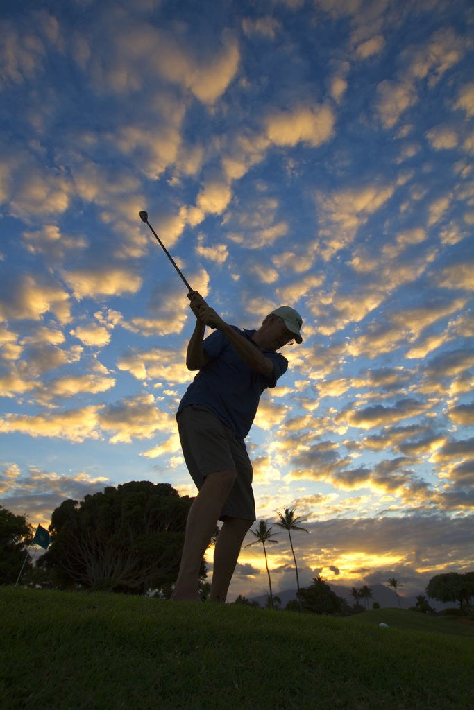 Detail of Silhouette of golfer at sunset, Maui, Hawaii by Anonymous