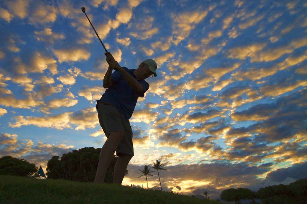 Detail of Silhouette of golfer at sunset, Maui, Hawaii by Anonymous