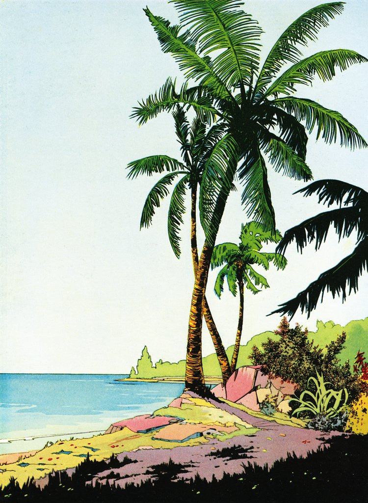 Detail of Idealized Beach Paradise with Palm Trees by Anonymous