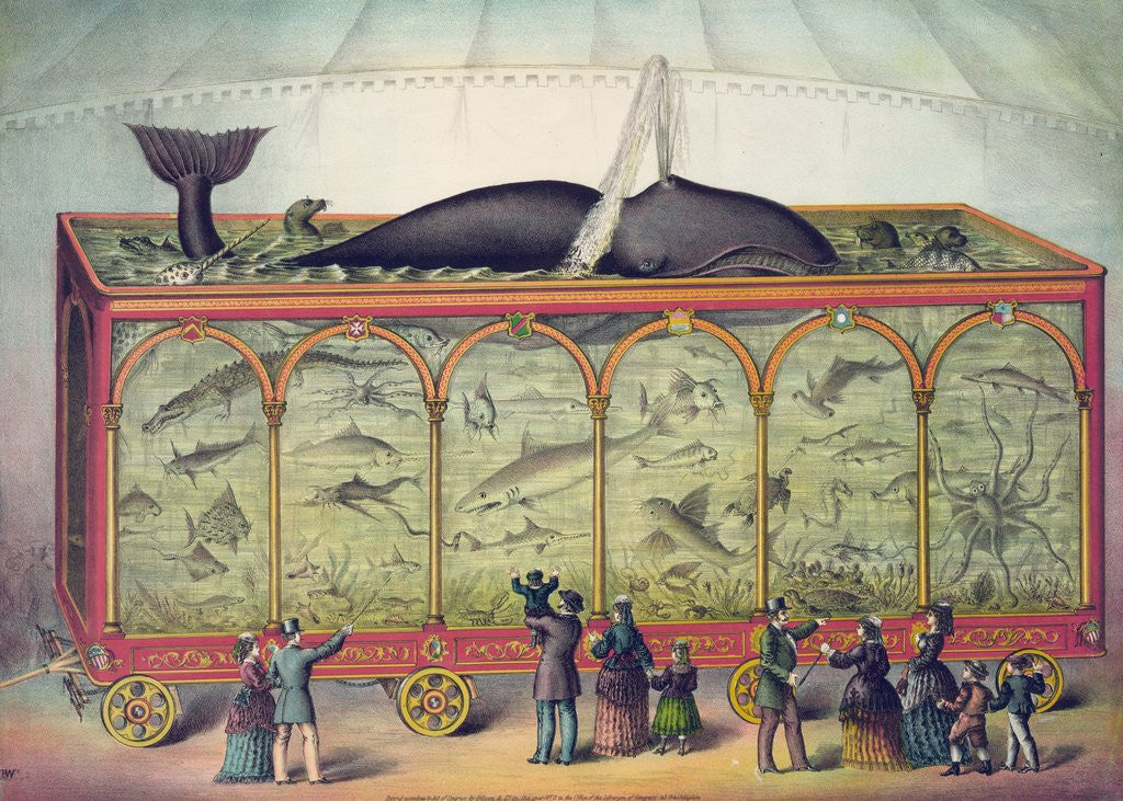 Detail of Lithograph of 19th century traveling aquarium by Anonymous