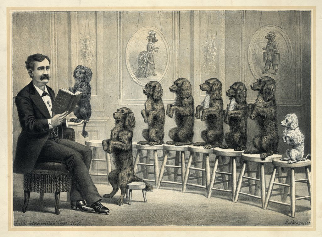 Detail of Educated Dogs by Anonymous