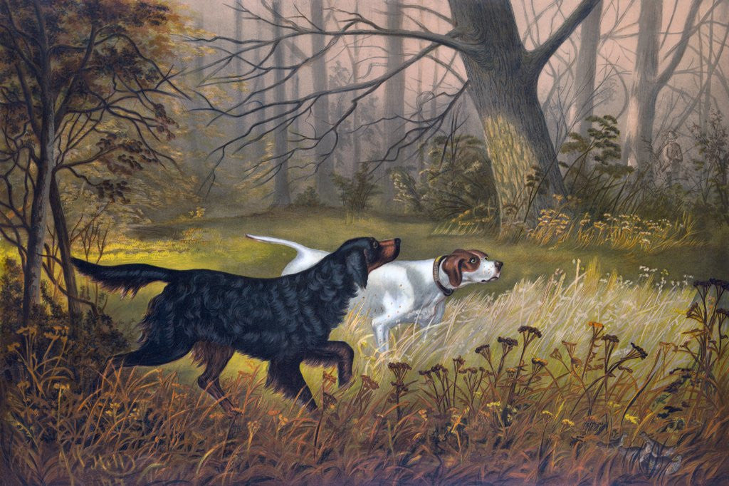 Detail of Hunting dogs in woods by Anonymous