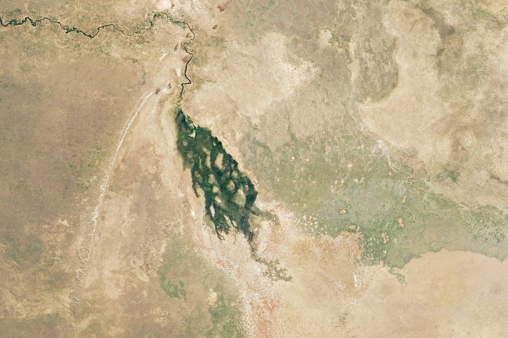 Detail of Satellite view of the Savuti river and swamp by Anonymous