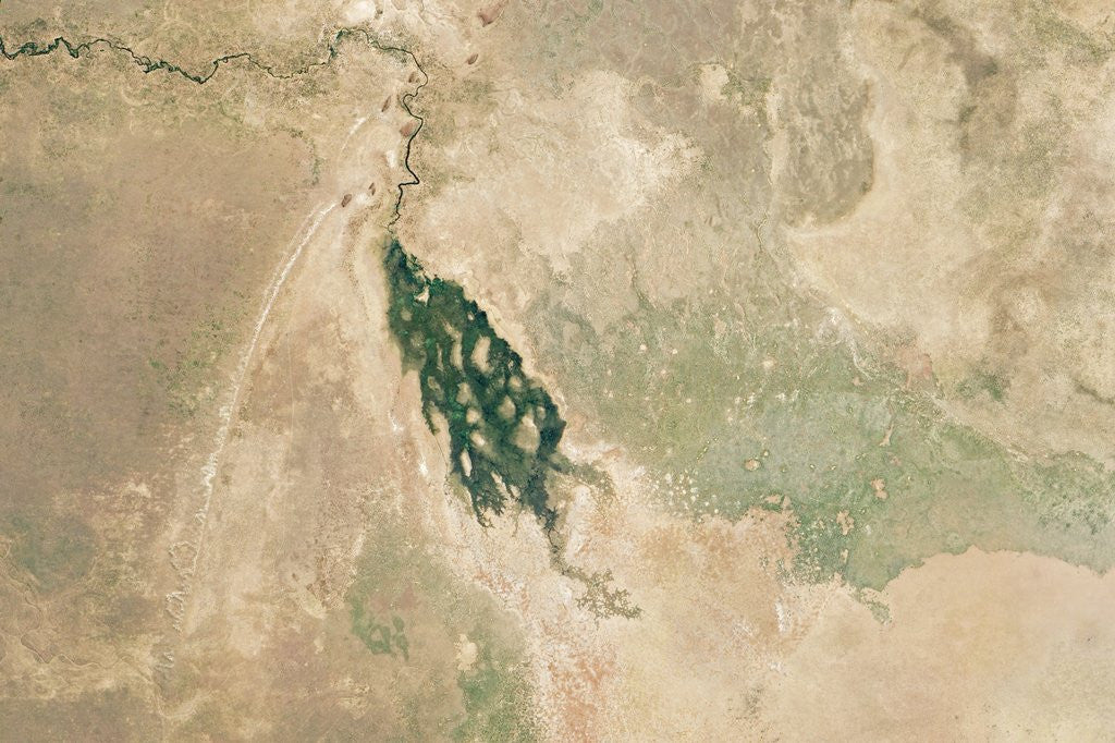 Detail of Satellite view of the Savuti river and swamp by Corbis