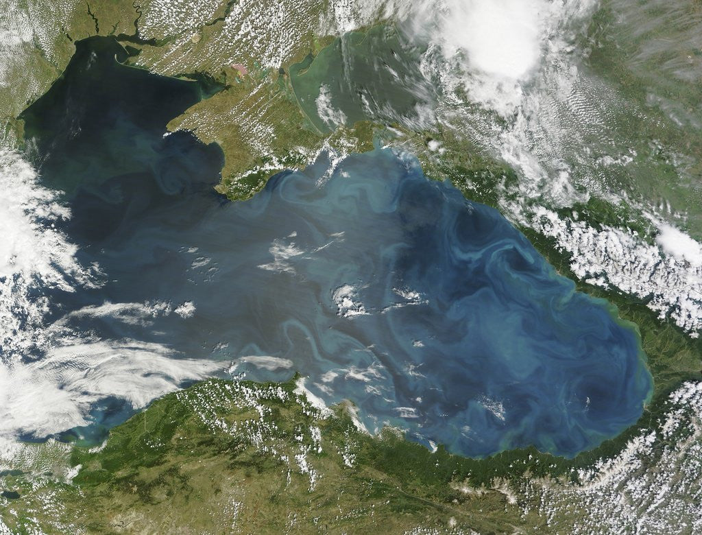 Detail of Phytoplankton bloom in the Black Sea by Anonymous