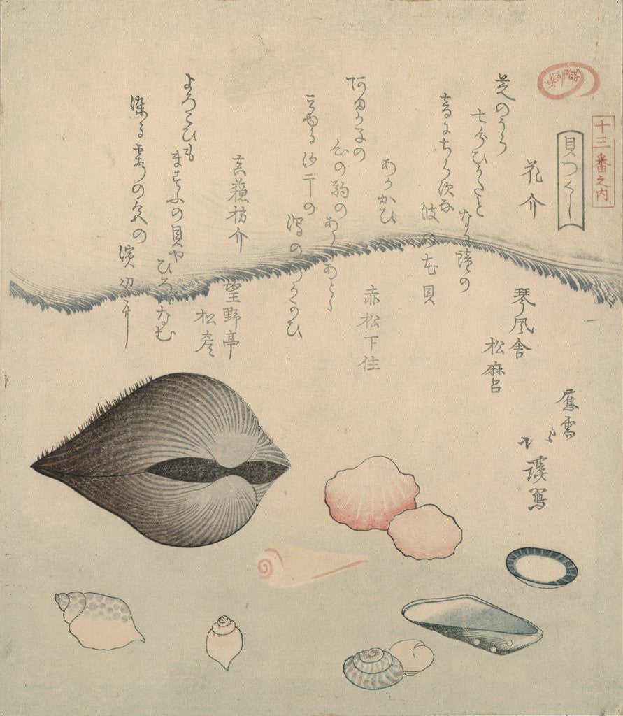 Detail of Aragai, masuÅ�gai, anagai: clams by Totoya Hokkei