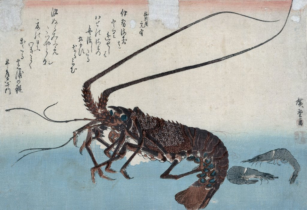 Detail of Shrimp and lobster by Ando Hiroshige