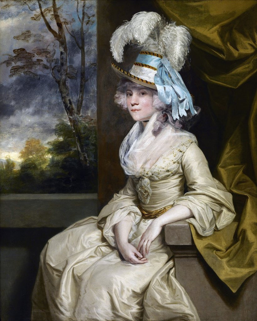 Detail of Elizabeth, Lady Taylor by Sir Joshua Reynolds