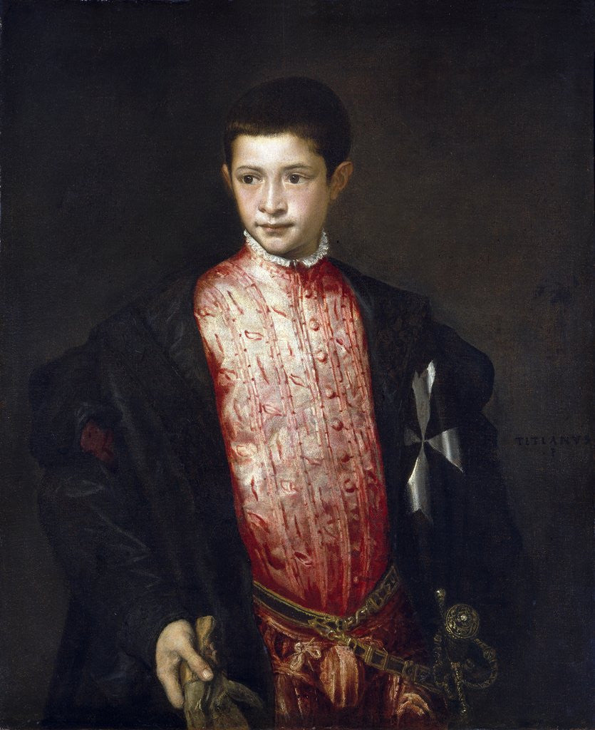 Detail of Portrait of Cardinal Ranuccio Farnese as a Boy by Titian