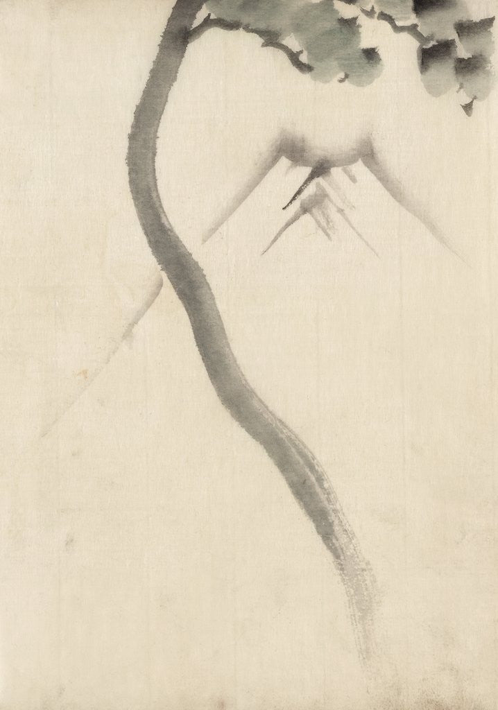 Detail of A tree trunk with branch and leaves in the foreground, with view of Mount Fuji in the background by Anonymous