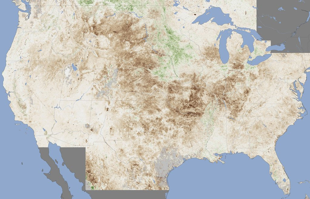 Detail of Crop Damage from Drought by Anonymous