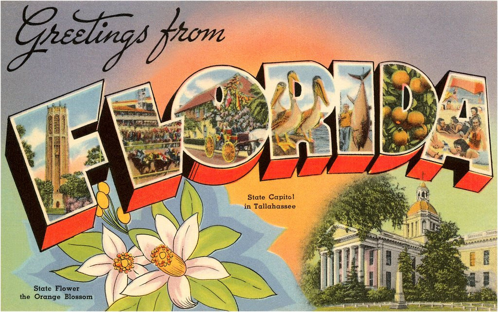 Detail of Greetings from Florida by Anonymous