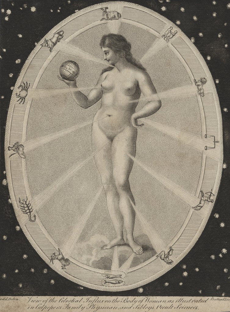 Detail of Female nude surrounded by astrological symbols by Corbis