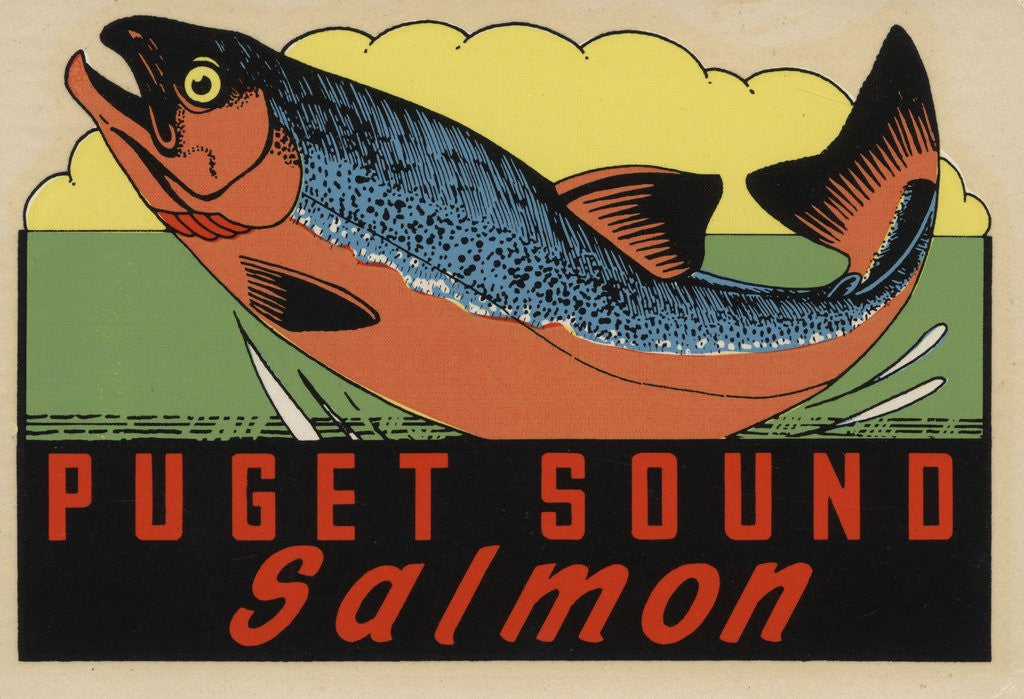 Detail of Puget Sound Salmon travel decal by Anonymous