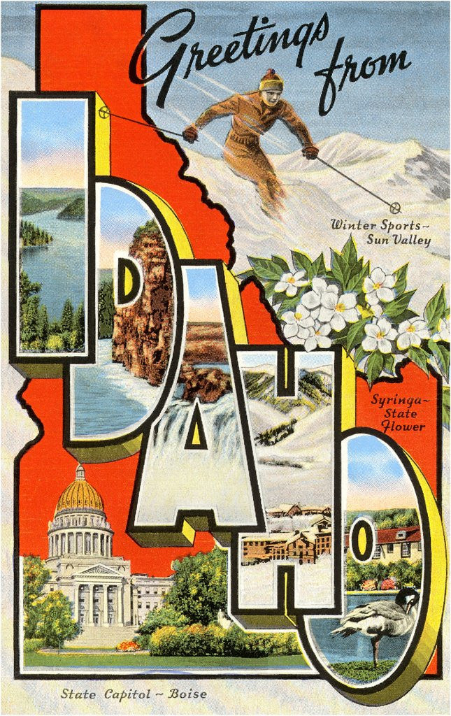 Detail of Greetings from Idaho by Anonymous