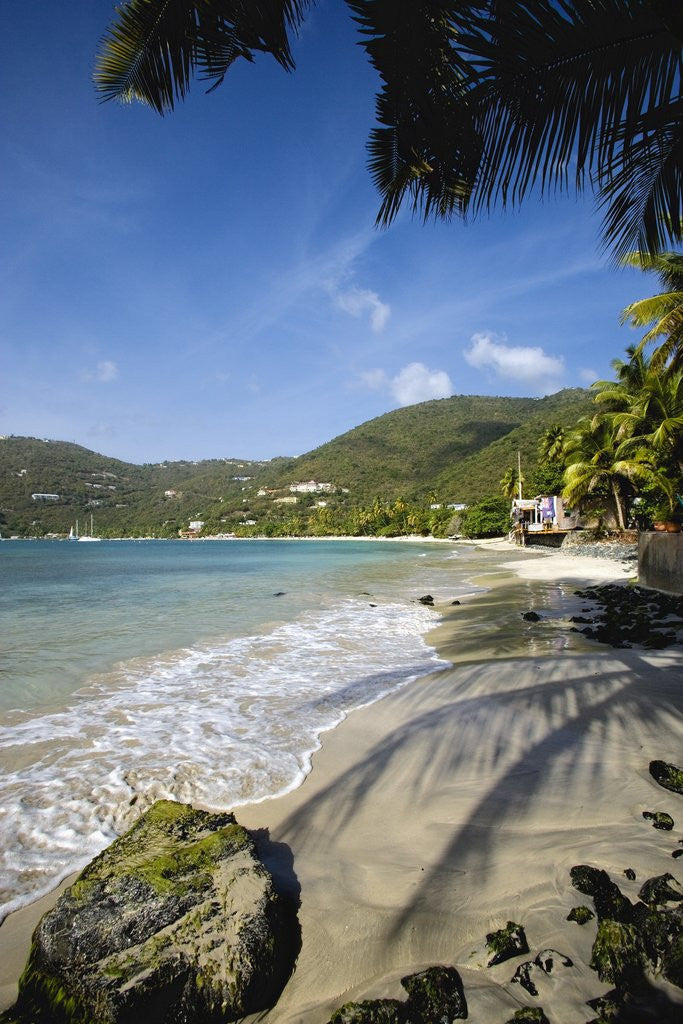 Detail of Tropical beach, Cane Garden Bay, Tortola island, British Virgin Islands by Anonymous