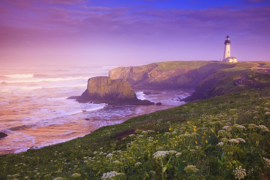 Detail of sunrise thru fog, Yaquina Head Lighthouse, Oregon Coast. Pacific Northwest, United States by Anonymous