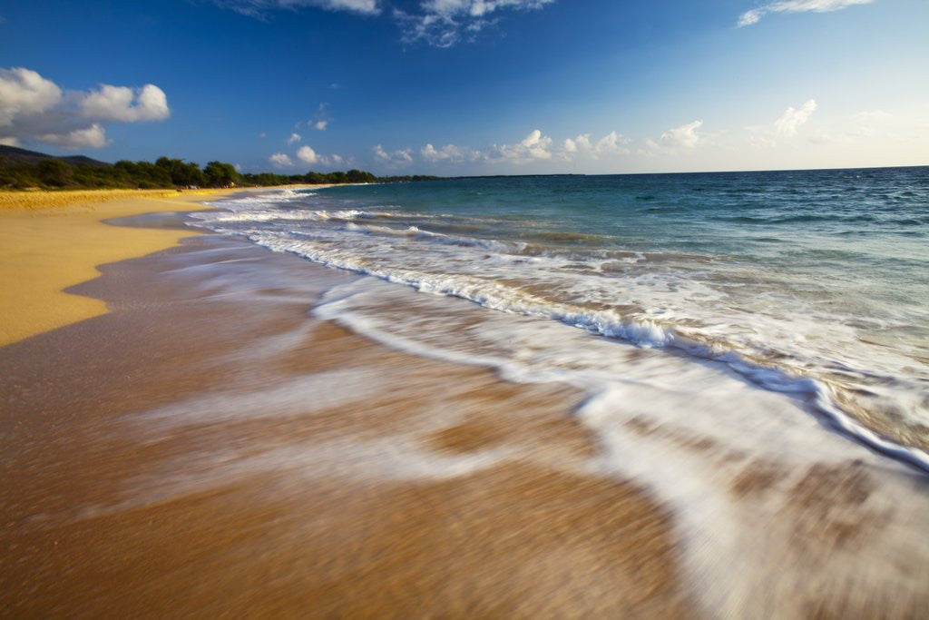 Detail of Evening Light on Big Beach On The Island of Maui by Anonymous