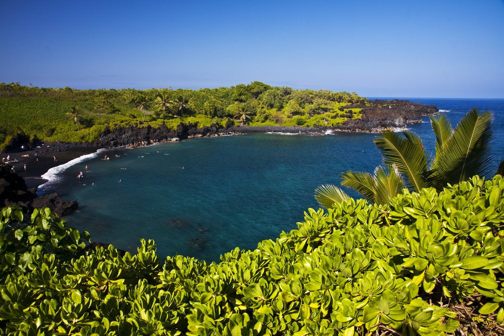 Detail of Sunny Day at the Black Sand Beach Near Hana on the Island of Maui by Anonymous