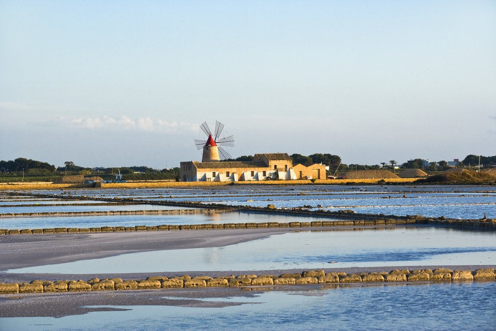 Detail of Windmill and saltworks, Marsala, Sicily, Italy by Anonymous