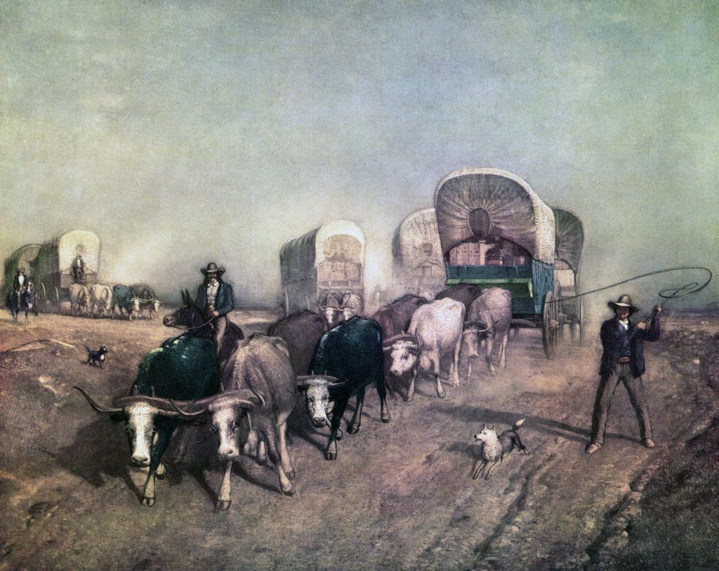 Detail of Train of Conestoga Wagons in 1850s America. by Anonymous