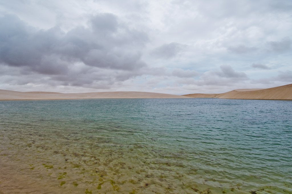 Detail of White Sand dunes and fresh water lakes at Lencois Maranheinses National Park, Brazil by Anonymous