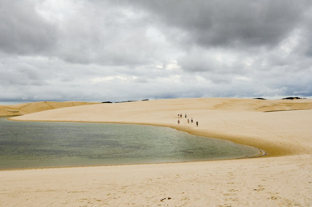 Detail of White Sand dunes and fresh water lakes at Lencois Maranheinses National Park, Brazil by Anonymous