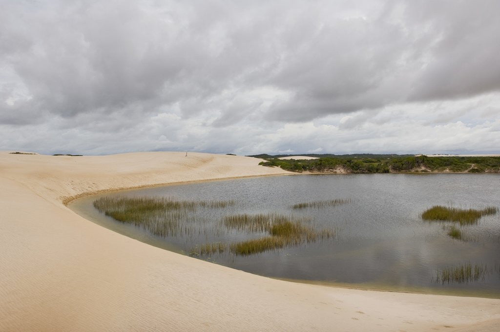 Detail of White Sand dunes and fresh water lakes at Lencois Maranheinses National Park, Brazil by Corbis
