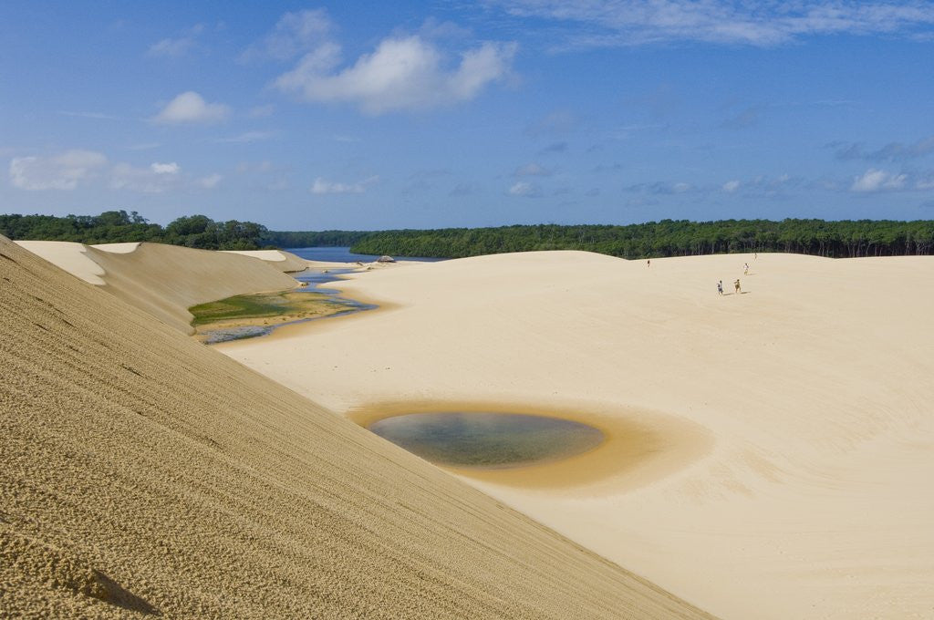 Detail of White Sand dunes and Preguica river at Lencois Maranheinses National Park, Brazil by Anonymous