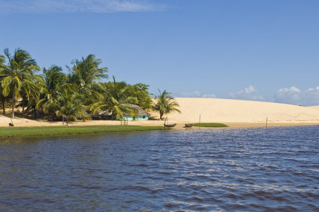 Detail of Preguicas River at Lencois Maranheinses National Park, Brazil by Anonymous