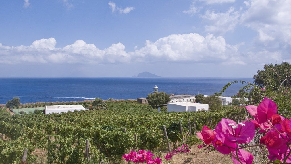 Detail of View of Capo Faro, Sicily, Italy by Anonymous