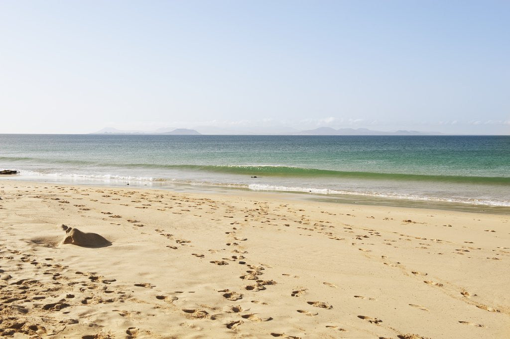 Detail of Beach at Papagayo natural Park, Lanzarote, Yaiza, Spain by Anonymous