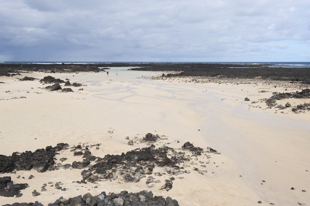 Detail of Canteria beach, near Orzola, Lanzarote, Spain by Anonymous