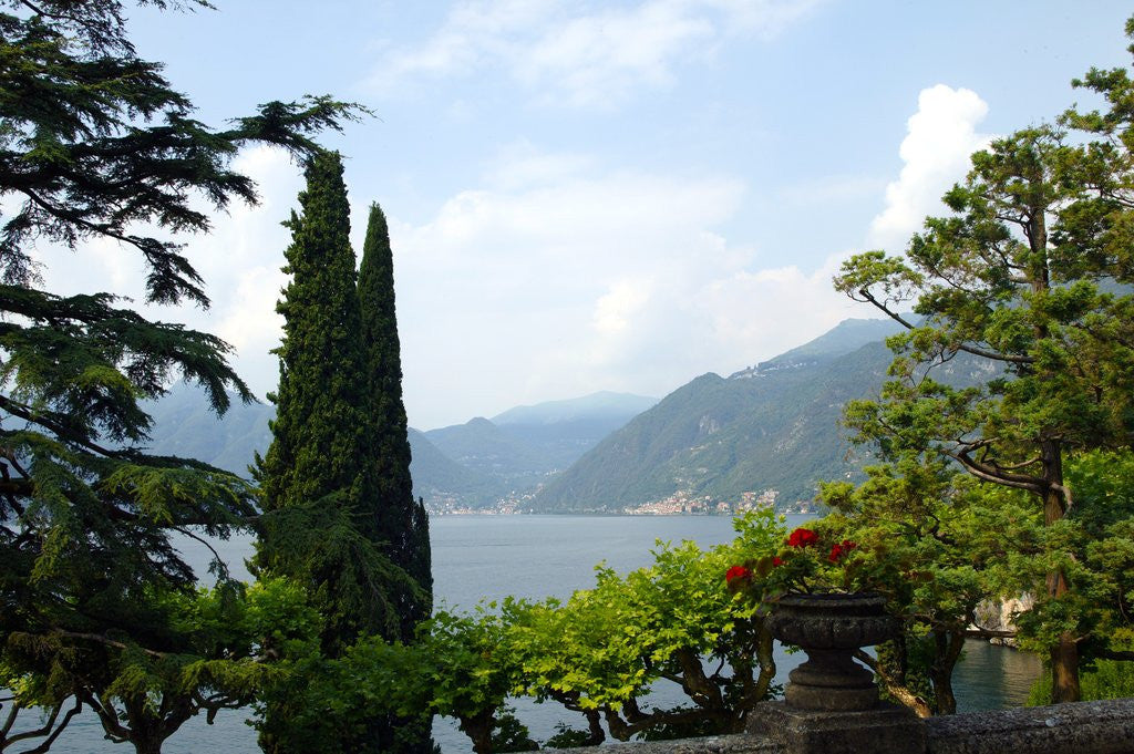 Detail of Villa Balbianello Park facing Lake Como, Lenno, Italy by Anonymous