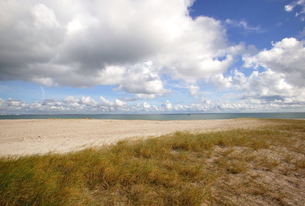 Detail of Les Grands Sables beach, Groix island, France by Anonymous
