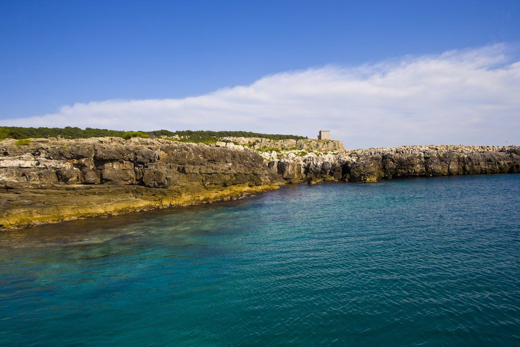 Detail of Sea coast, Parco Naturale di porto Selvaggio, Nardo, Italy by Anonymous