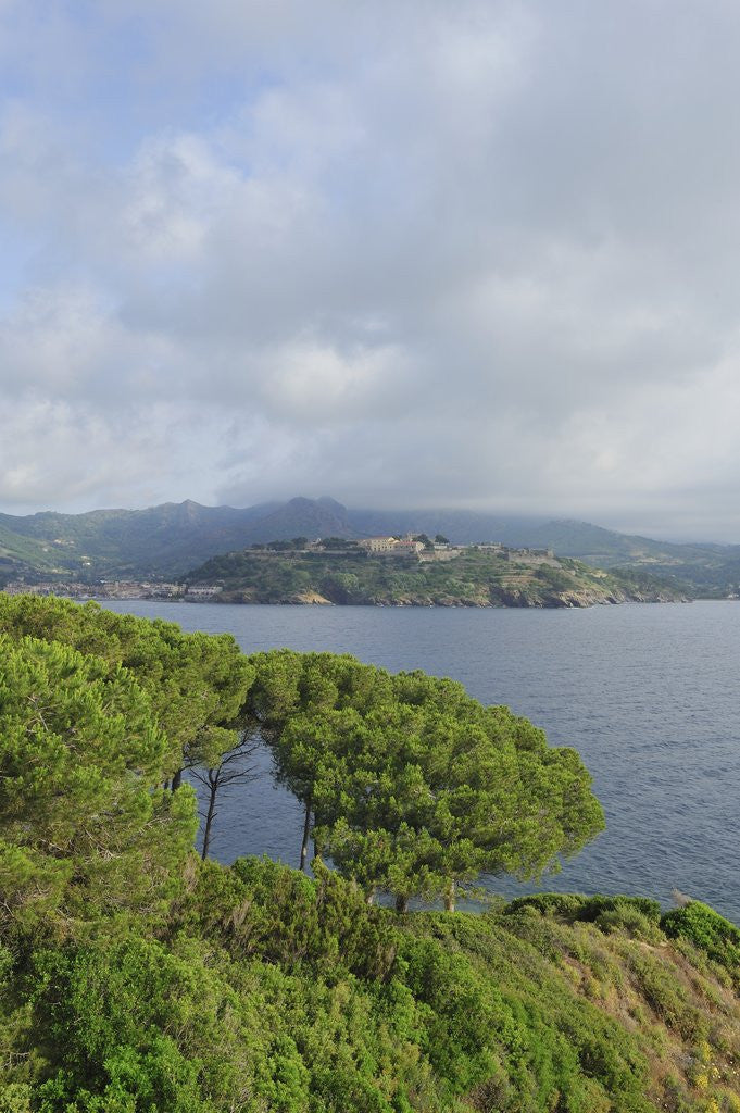 Detail of View of bay from Forte Focardo, Porto Azzurro, Italy by Anonymous