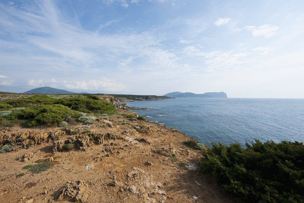 Detail of Coast between Alghero and Bosa, Alghero, Sardinia, Italy by Anonymous