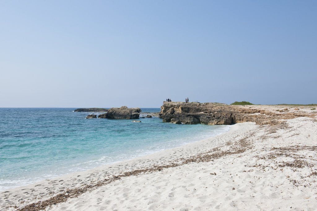 Detail of White beach of Is Arutas, Cabras, Sardinia, Italy by Anonymous