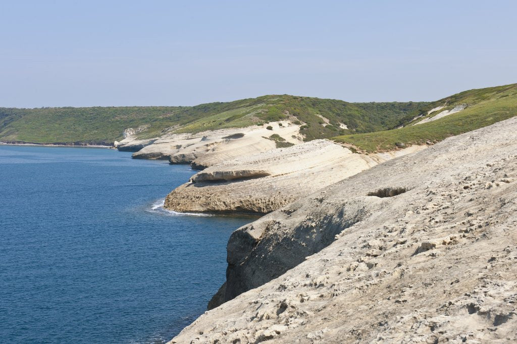 Detail of Sea coast at Punta Tangone, Sardinia, Italy by Anonymous