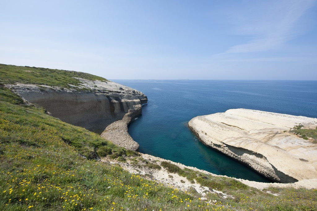 Detail of Sea coast at Punta Tangone, Sardinia, Italy by Anonymous