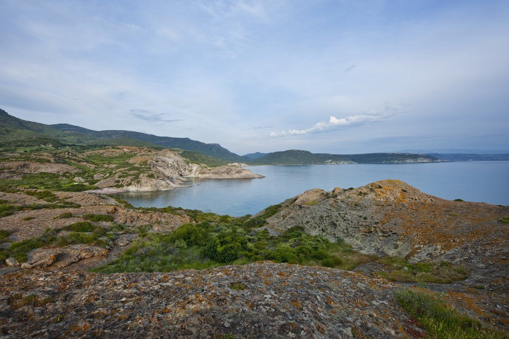 Detail of Sea coast, Torre Argentina Promontory, Bosa, Sardinia, Italy by Anonymous