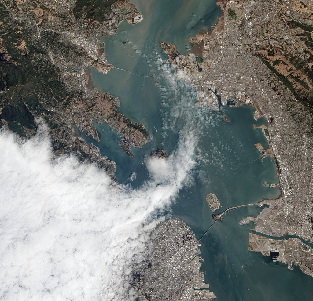 Detail of Satellite View of a Foggy Day in San Francisco by Anonymous