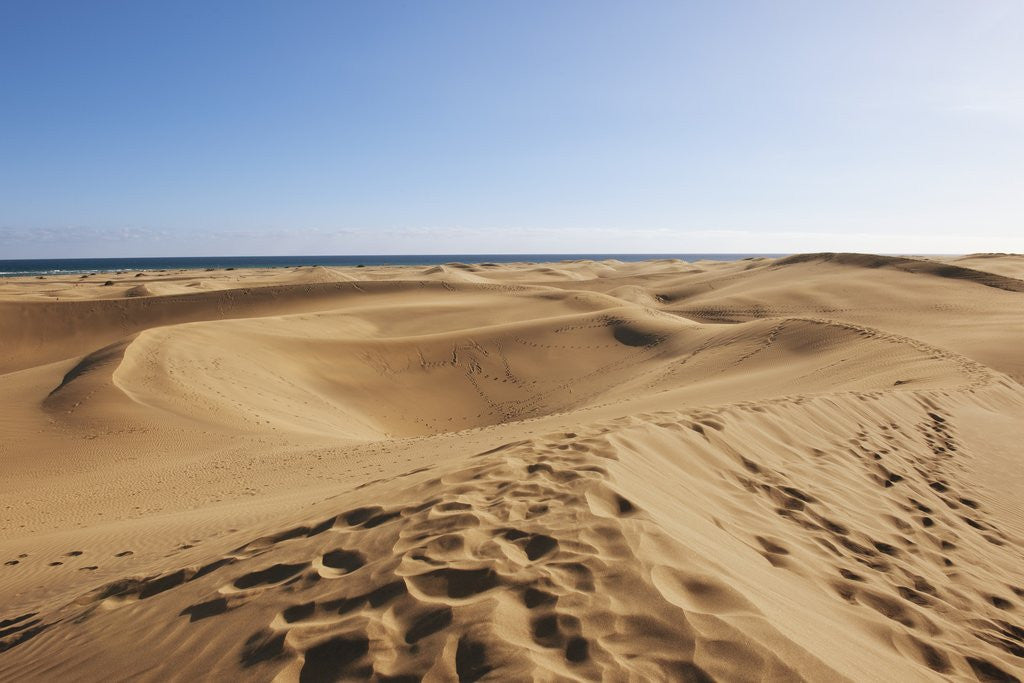 Detail of Sand dunes, Maspalomas, Gran Canaria, Spain by Anonymous